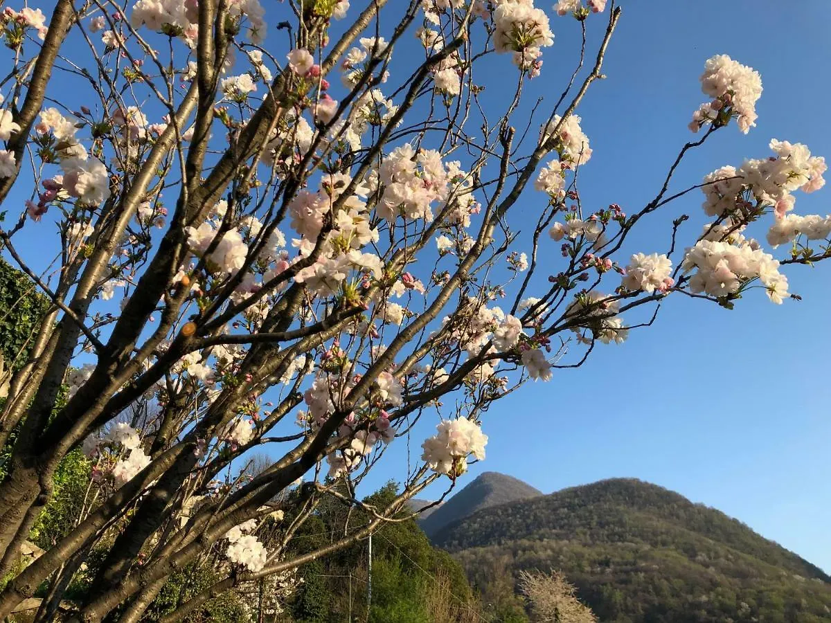 Eden Sul Lago Di Como Hotel Nesso
