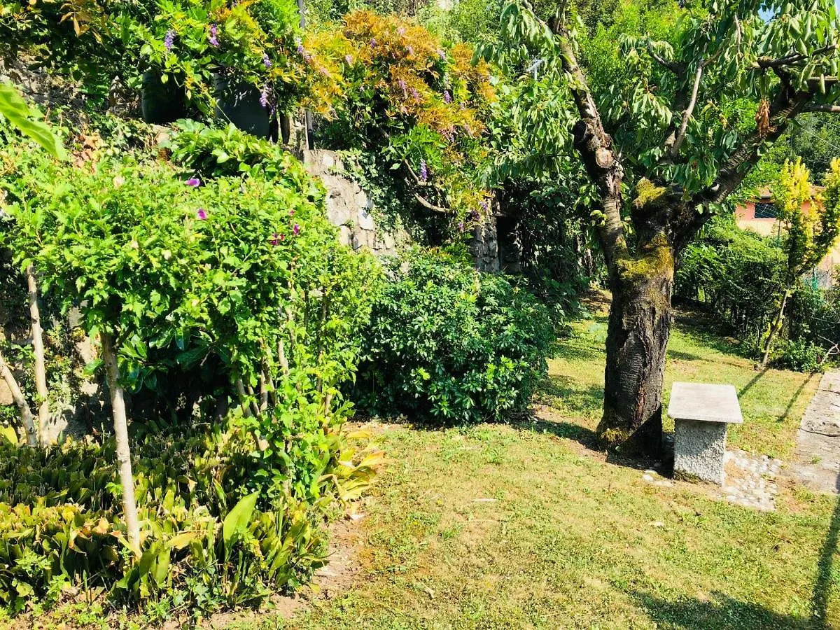 Eden Sul Lago Di Como Hotel Nesso Italy