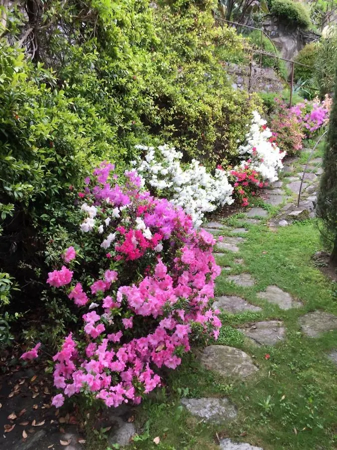 Eden Sul Lago Di Como Hotel Nesso 0*,  Olaszország